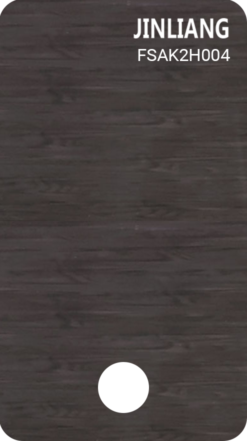 FSAK2H004