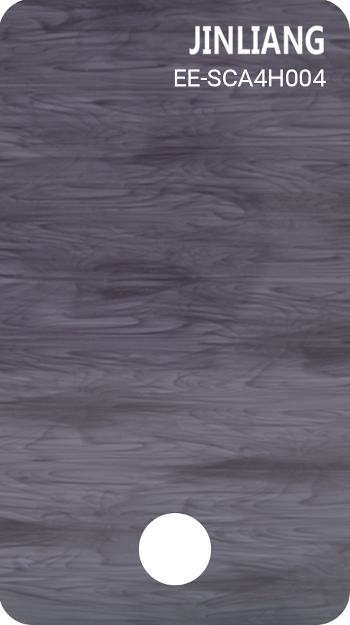 EE-SCA4H004