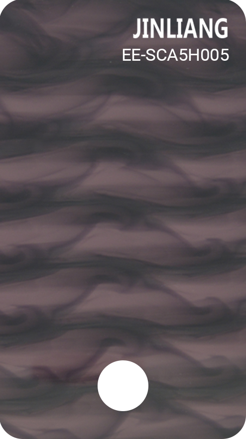EE-SCA5H005