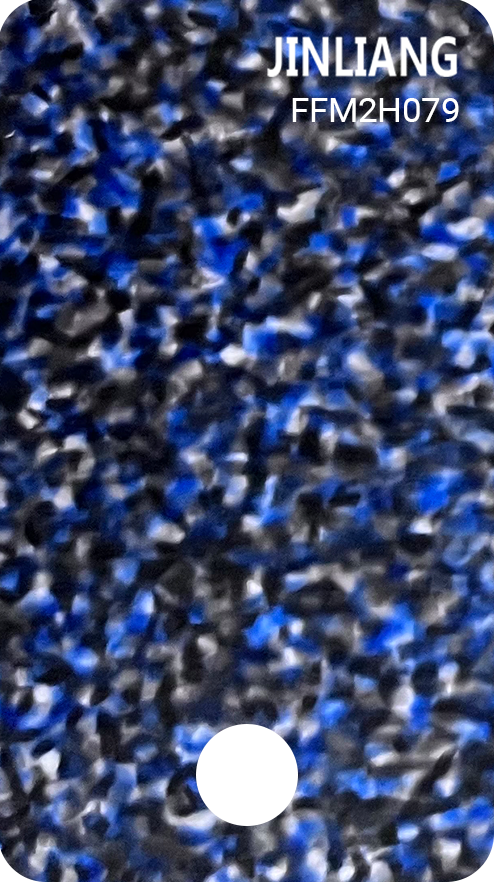 FFM2H079
