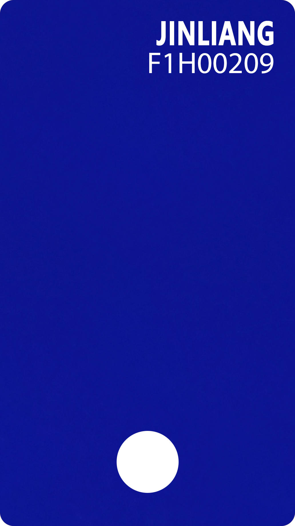 F1H00209
