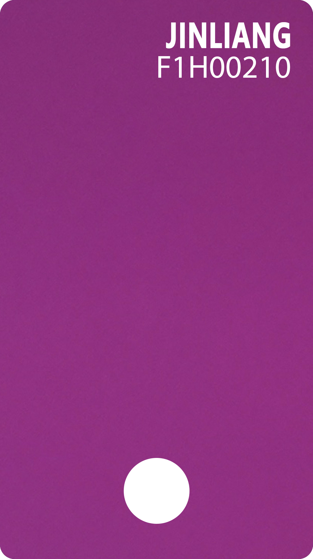F1H00210