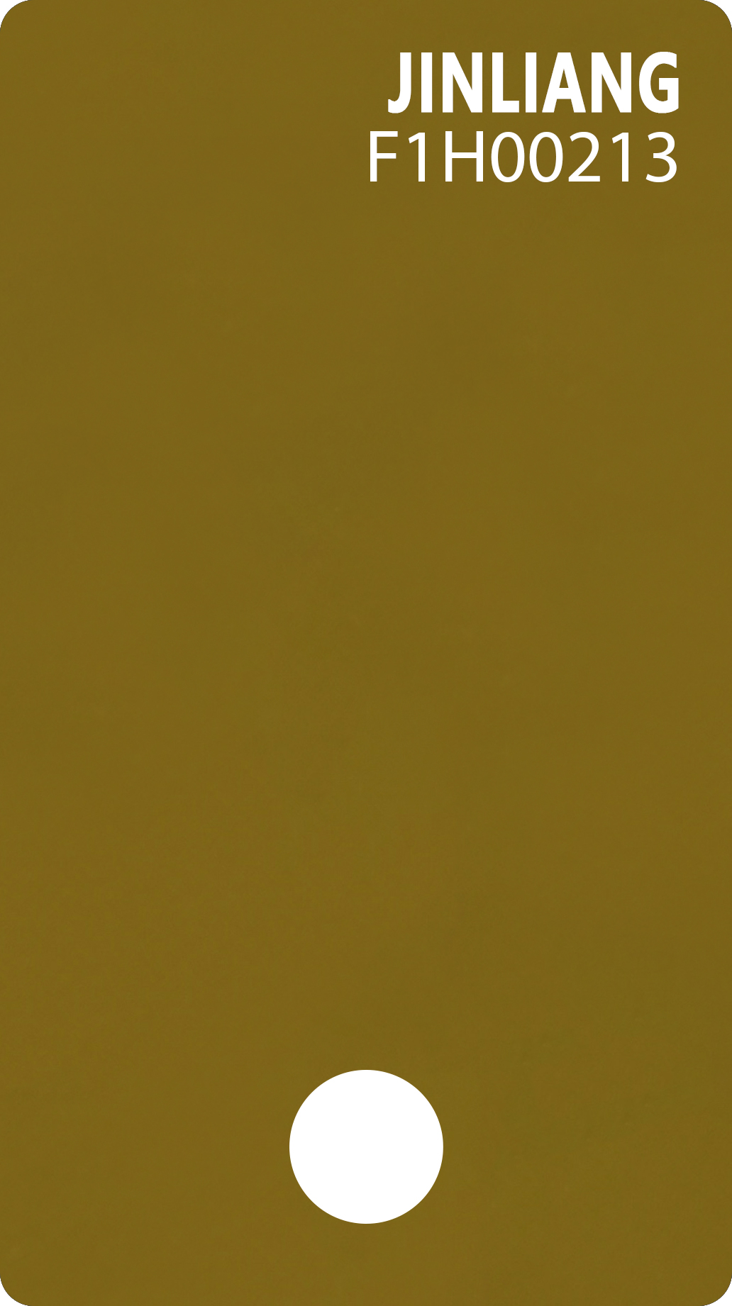 F1H00213